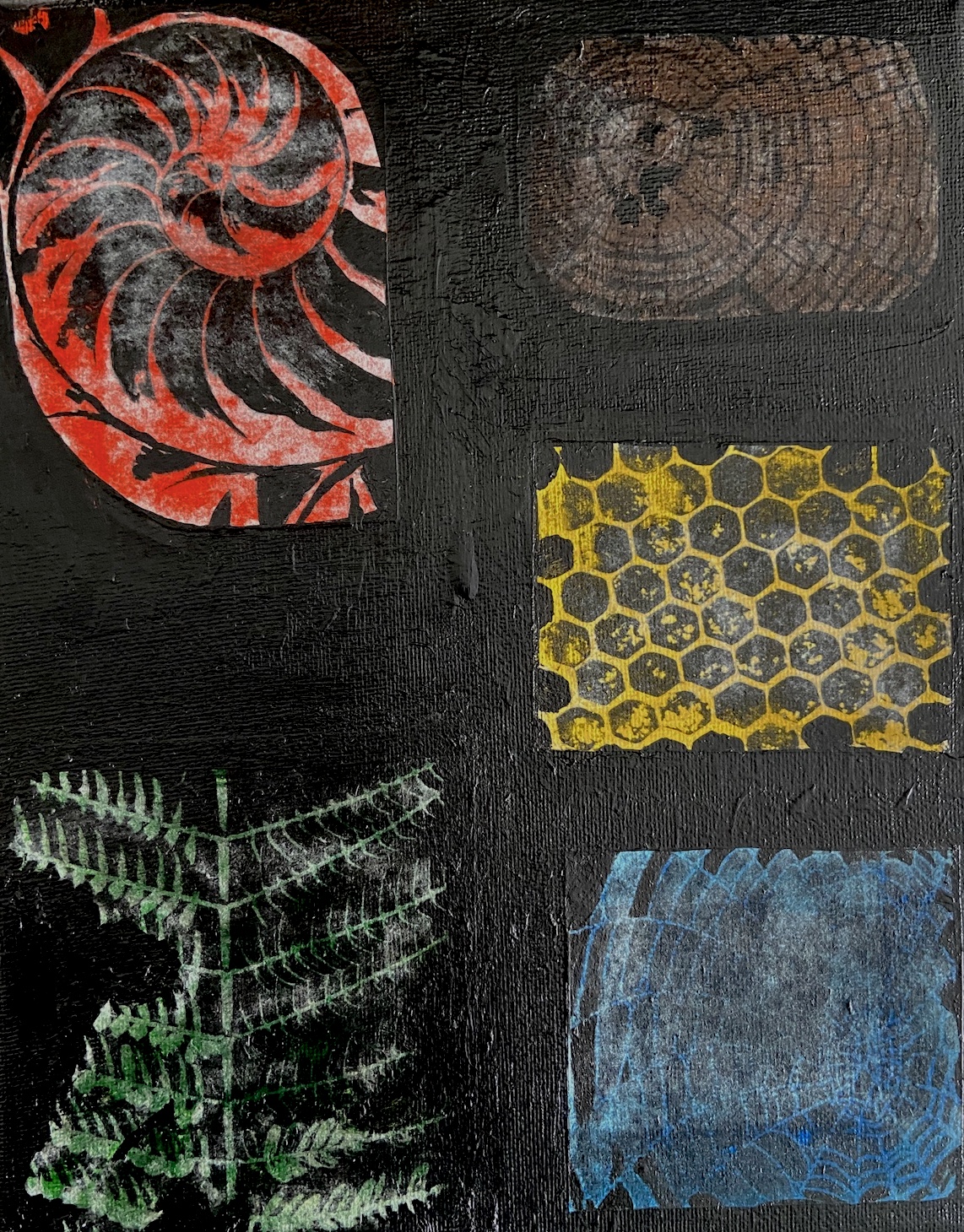 nature patterns on canvas photo