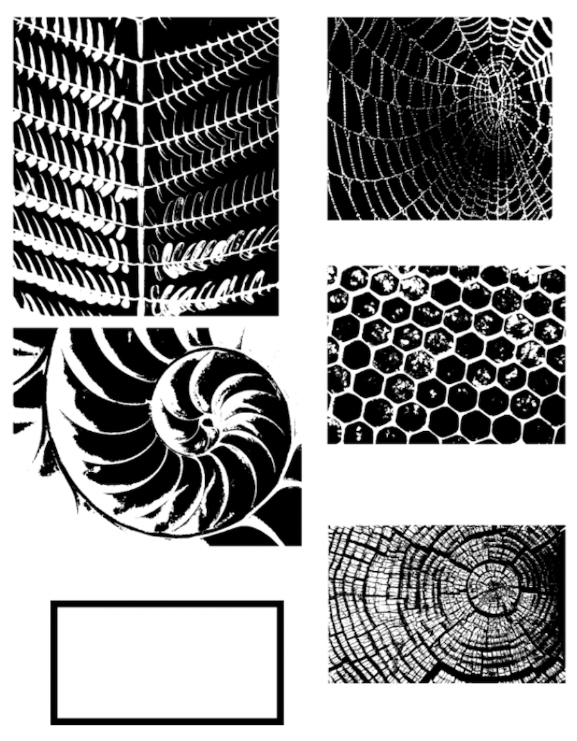 nature patterns