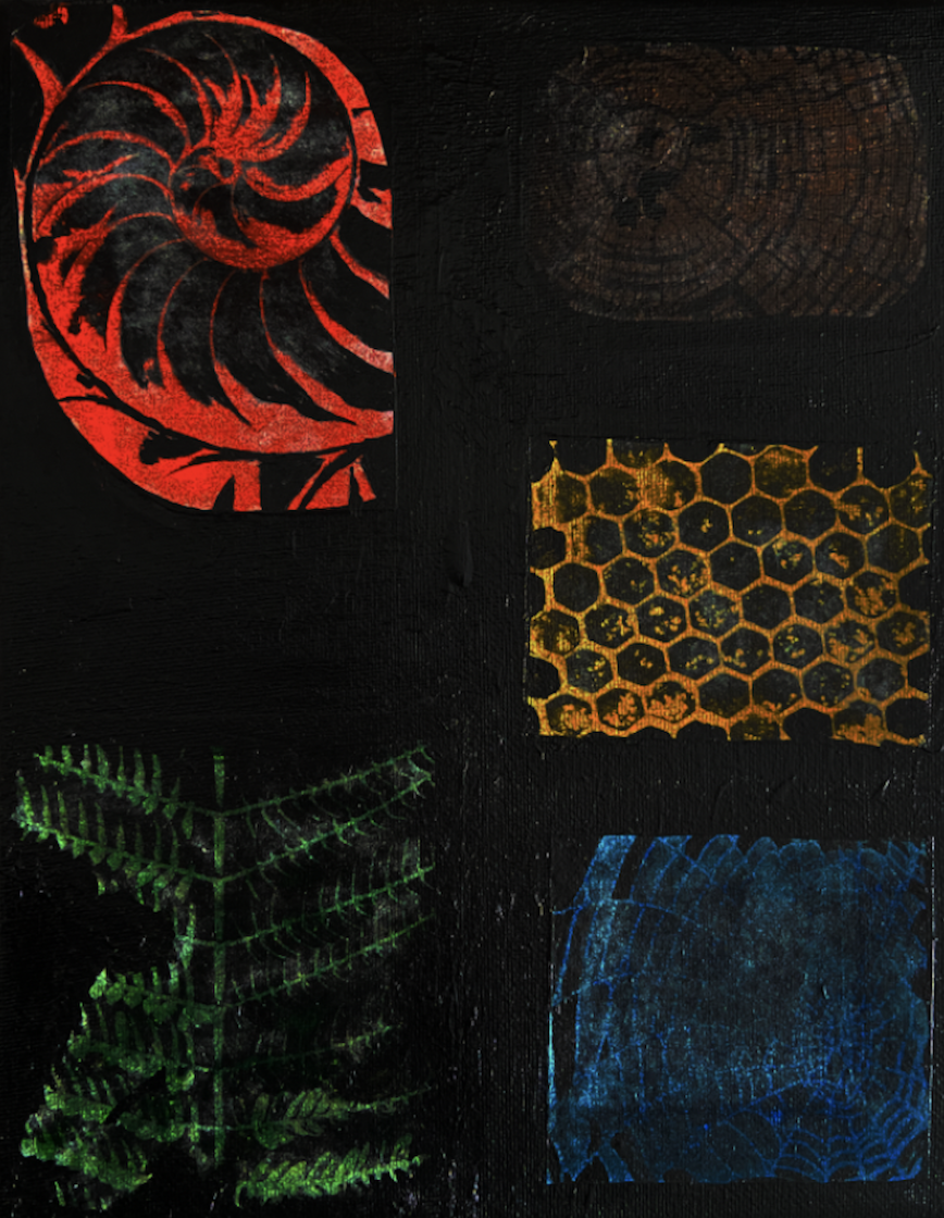 nature patterns scan
