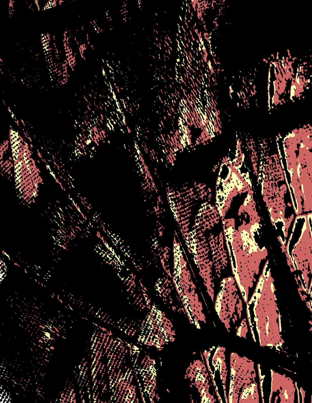 butterfly wing posterized