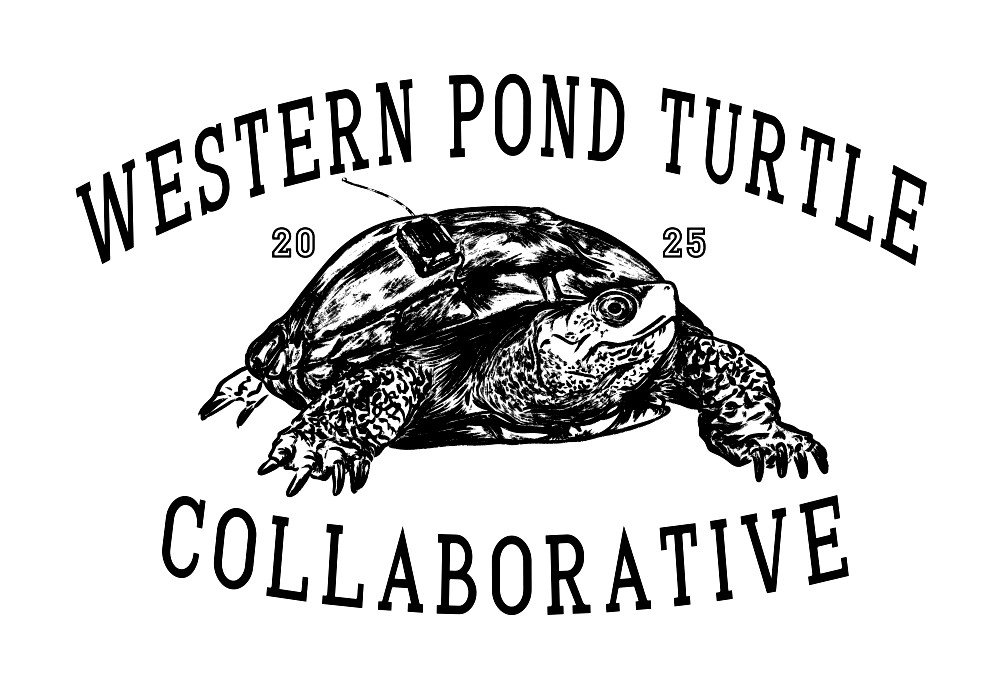 shirt design- turtle with tracker illustration with wording