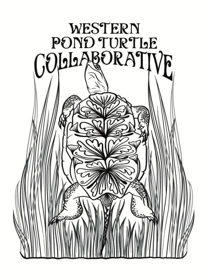 art nouveau style turtle line art